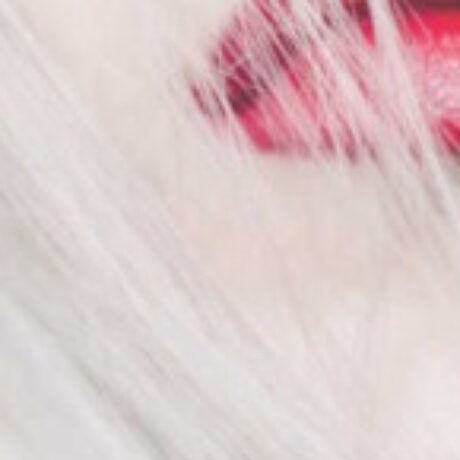 Foto del perfil de Nueva Pasion