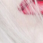 Foto del perfil de Nueva Pasion